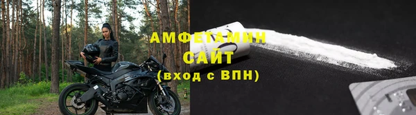 прущие грибы Алзамай