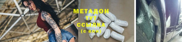прущие грибы Алзамай