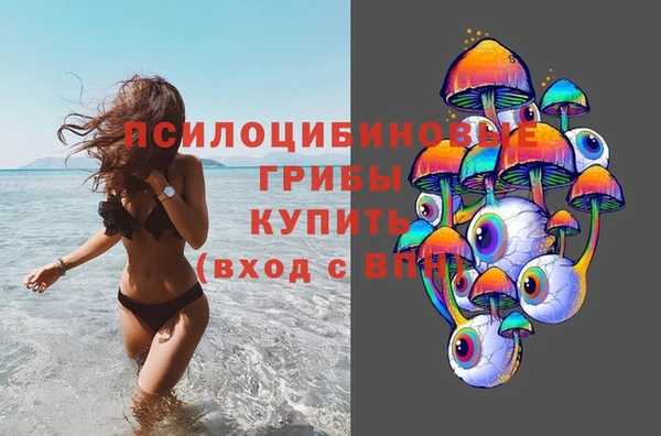прущие грибы Алзамай