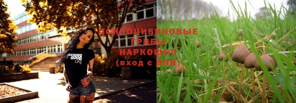 spice Алексеевка