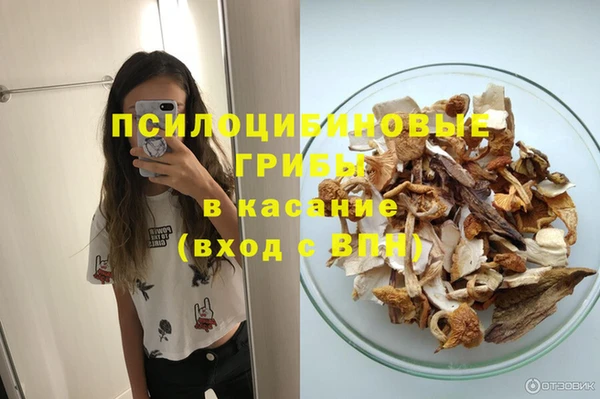 прущие грибы Алзамай