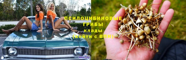 spice Алексеевка
